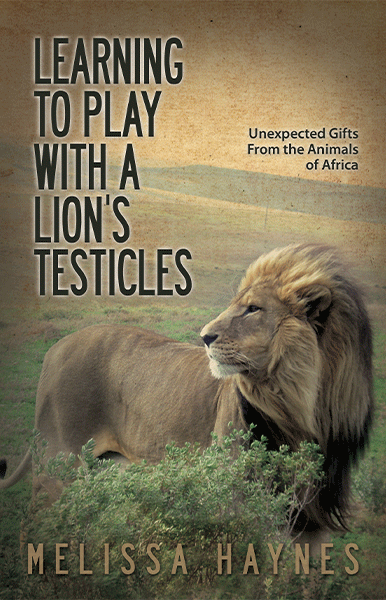 Lion Book Cover
